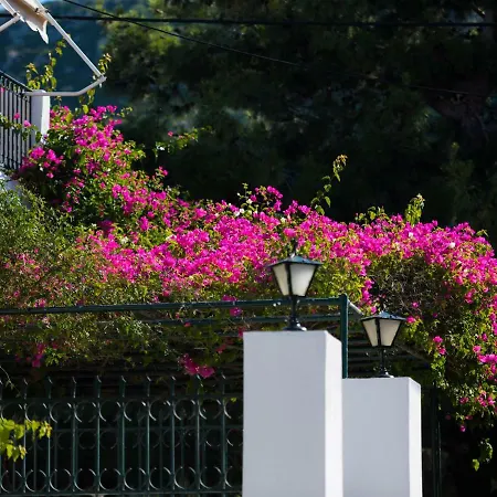 Casa Buganvilla شقة *