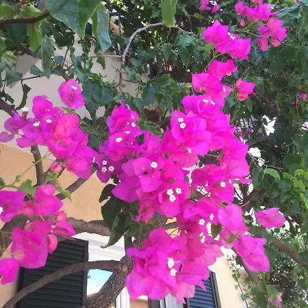 Casa Buganvilla شقة *