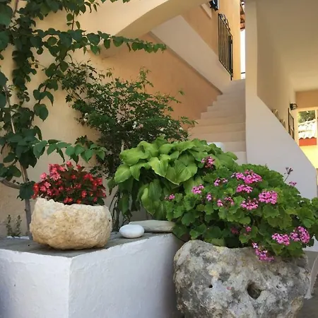 Daire Casa Buganvilla