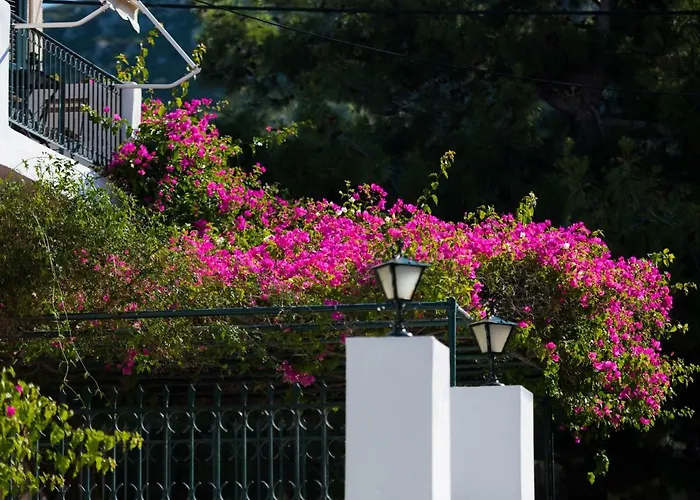 Casa Buganvilla Διαμέρισμα *