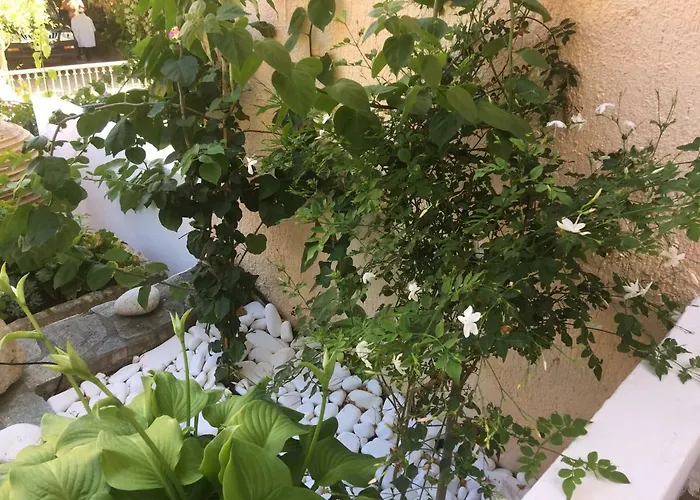 Casa Buganvilla Διαμέρισμα Μηνιά