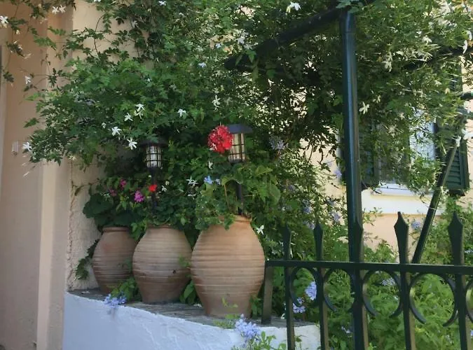 Casa Buganvilla *