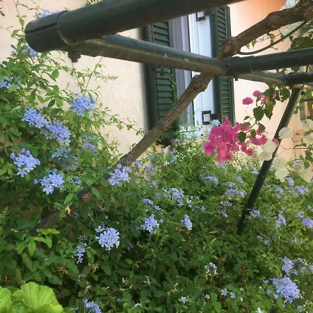 Apartamento Casa Buganvilla Minia