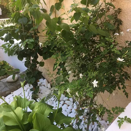 Casa Buganvilla Apartamento Minia